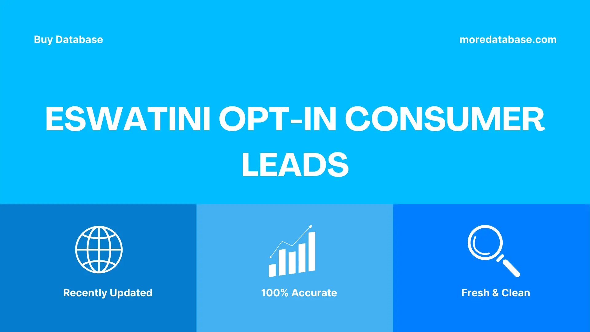 Eswatini Opt-In Consumer Leads